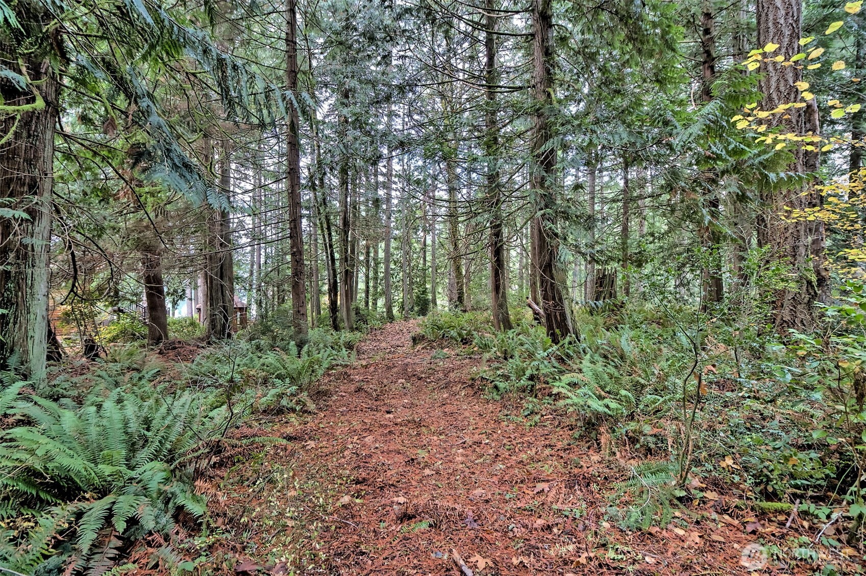 120 SE Sells Drive Shelton WA 98584