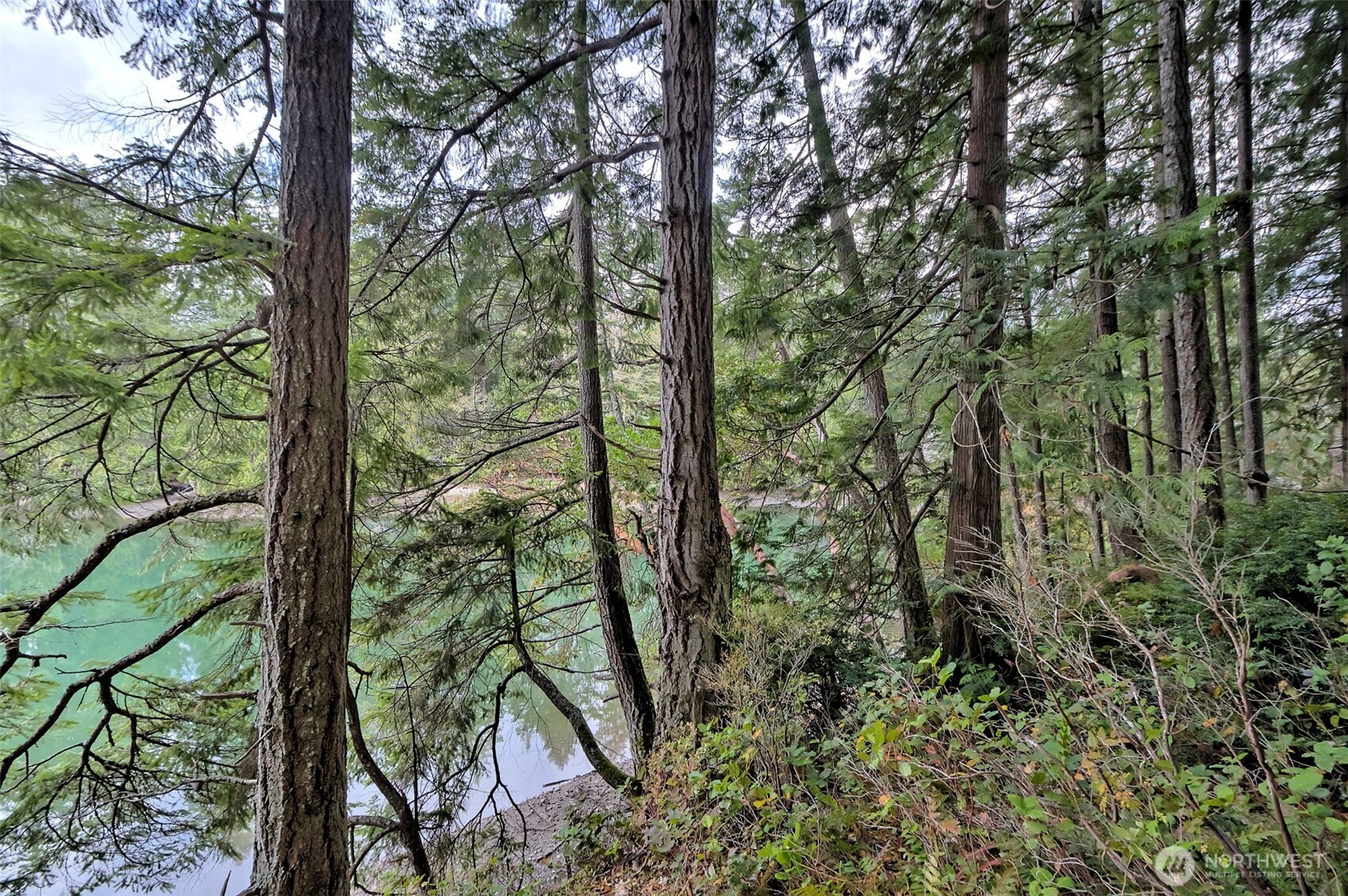 120 SE Sells Drive Shelton WA 98584