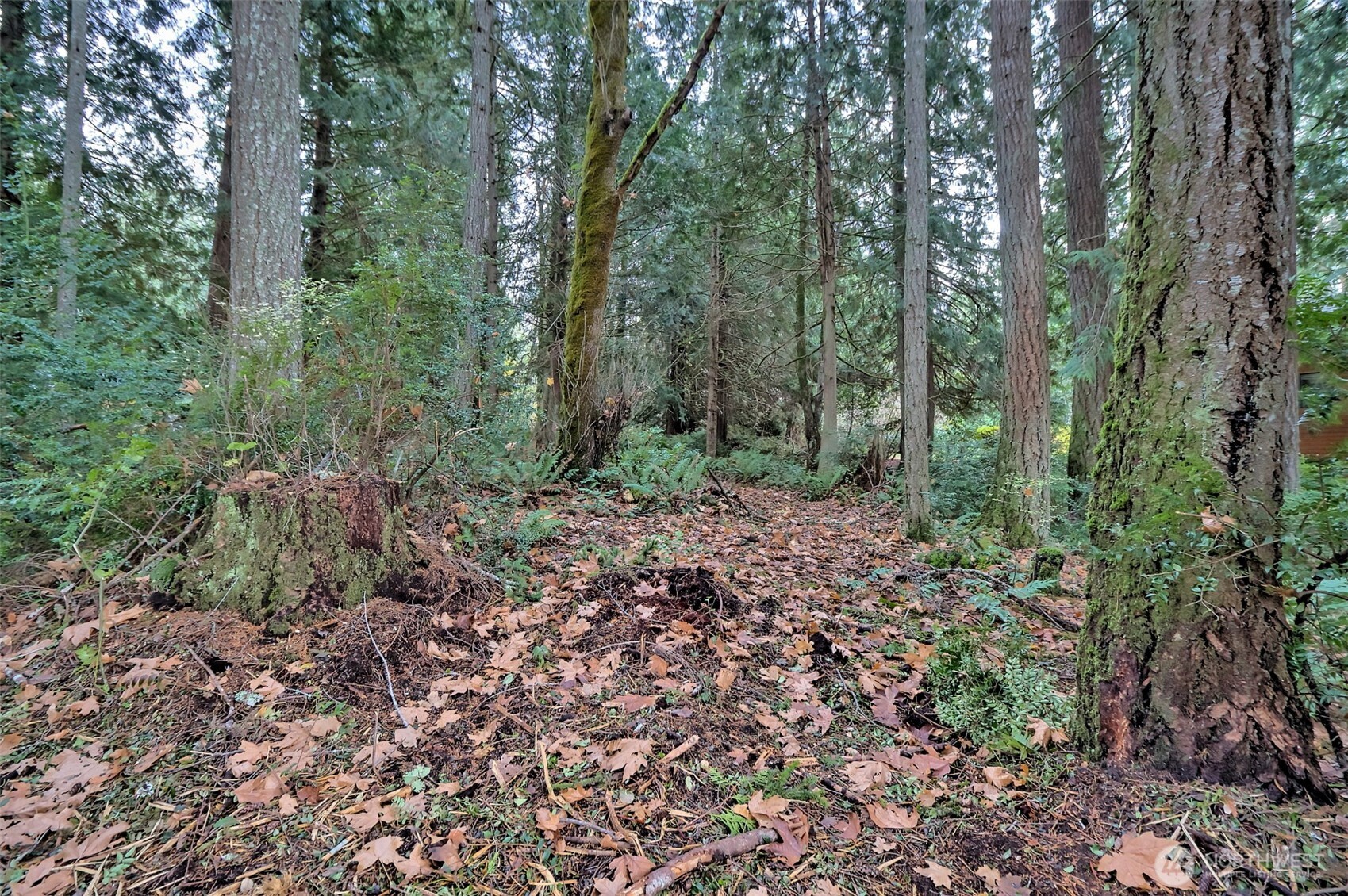 120 SE Sells Drive Shelton WA 98584