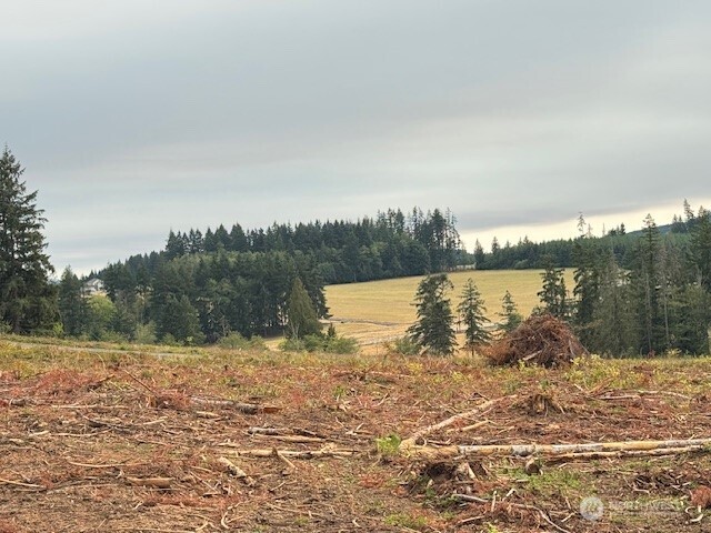 118 Woodberry Lane Winlock WA 98596