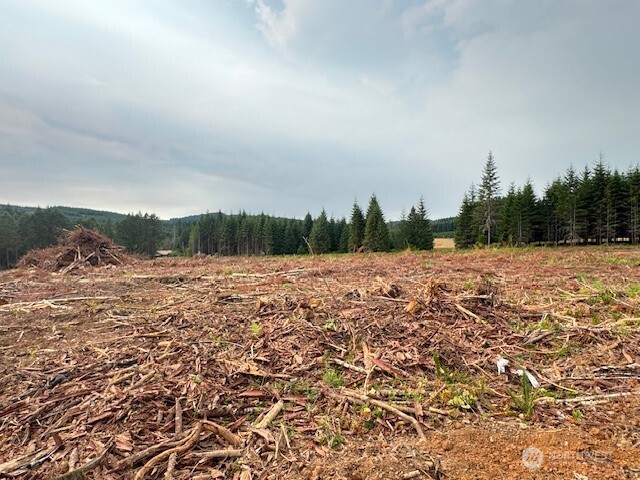 118 Woodberry Lane Winlock WA 98596