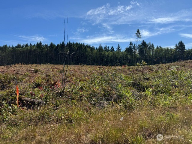118 Woodberry Lane Winlock WA 98596