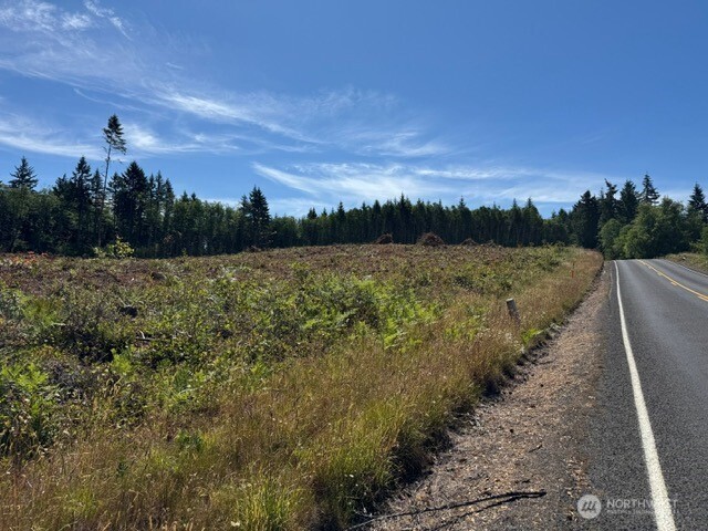 118 Woodberry Lane Winlock WA 98596