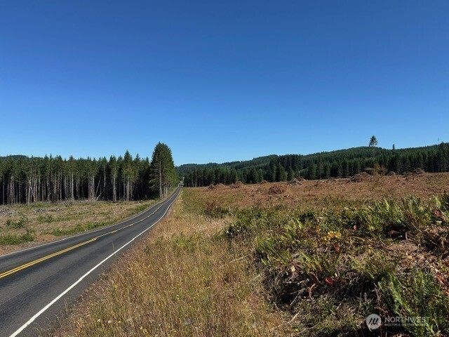 118 Woodberry Lane Winlock WA 98596