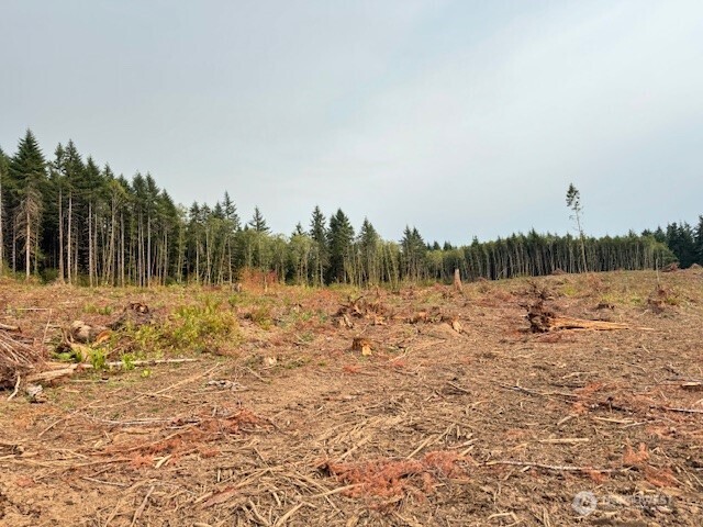 118 Woodberry Lane Winlock WA 98596