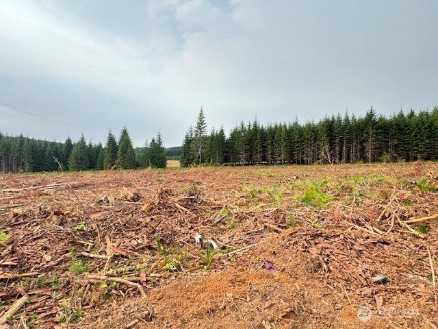 118 Woodberry Lane Winlock WA 98596
