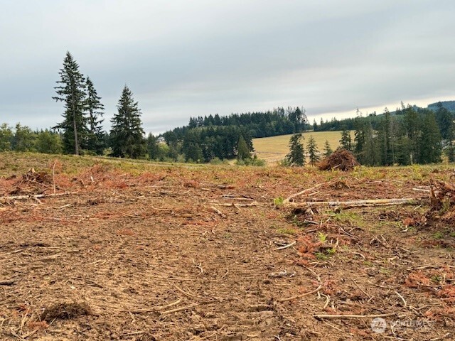 118 Woodberry Lane Winlock WA 98596