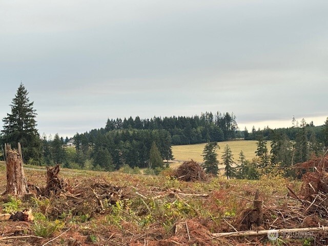 118 Woodberry Lane Winlock WA 98596
