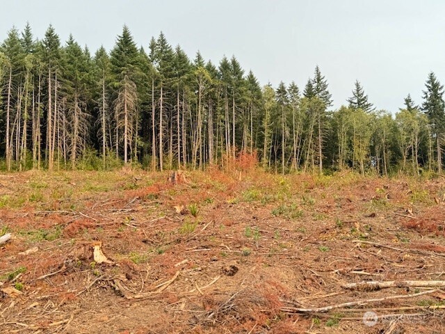 118 Woodberry Lane Winlock WA 98596