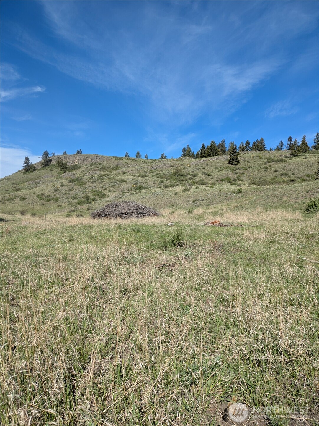 84 Pratt Road Oroville WA 98831