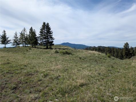84 Pratt Road Oroville WA 98831