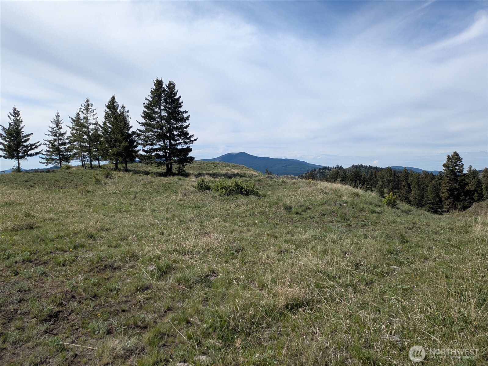 84 Pratt Road Oroville WA 98831