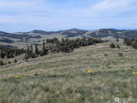84 Pratt Road Oroville WA 98831