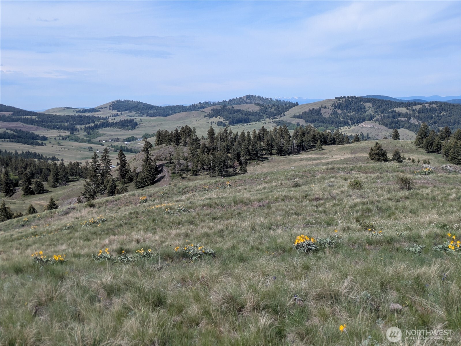 84 Pratt Road Oroville WA 98831