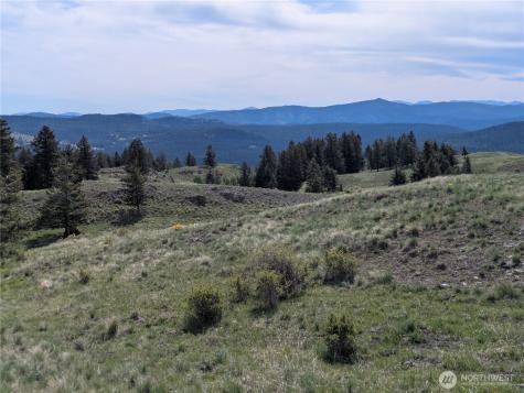84 Pratt Road Oroville WA 98831