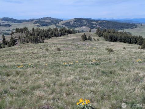 84 Pratt Road Oroville WA 98831