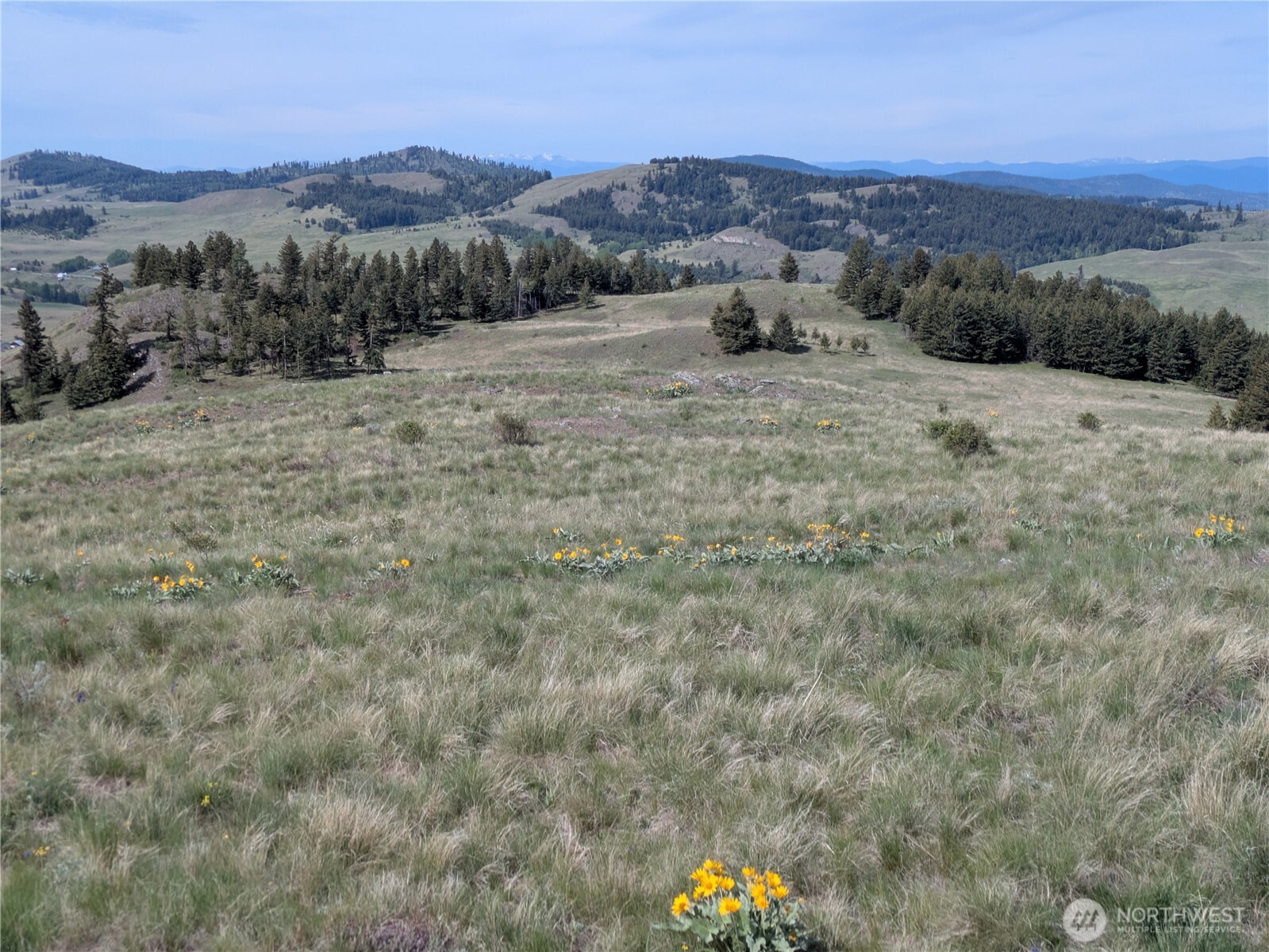 84 Pratt Road Oroville WA 98831