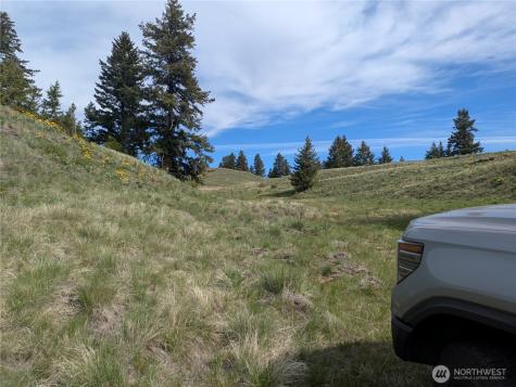 84 Pratt Road Oroville WA 98831