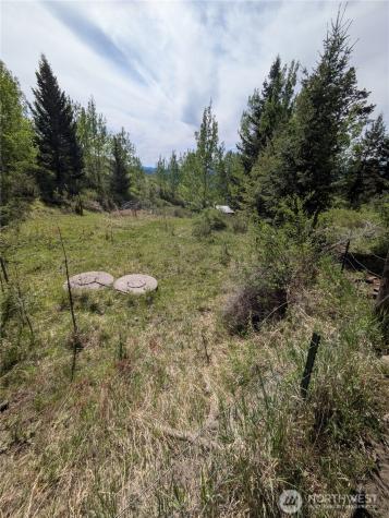 84 Pratt Road Oroville WA 98831