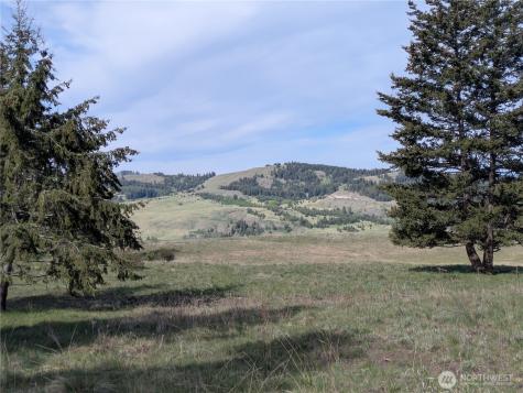84 Pratt Road Oroville WA 98831