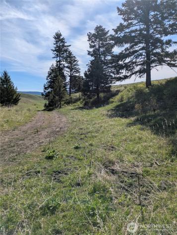 84 Pratt Road Oroville WA 98831