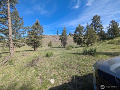 84 Pratt Road Oroville WA 98831