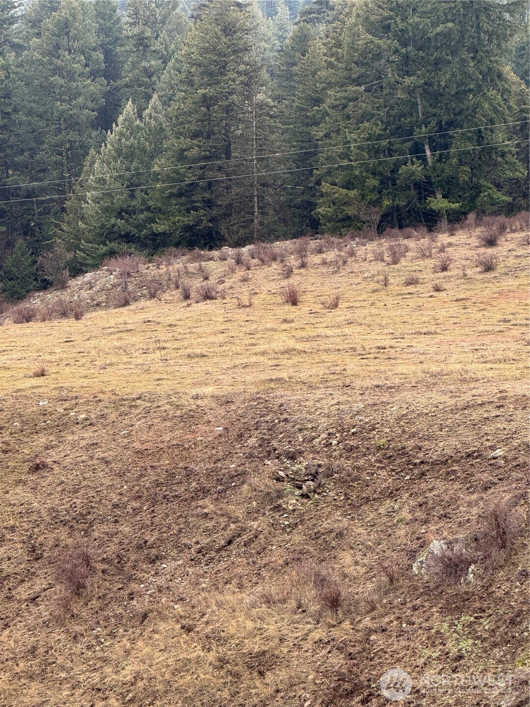 0 Lot 39 Mountain View Oroville WA 98844