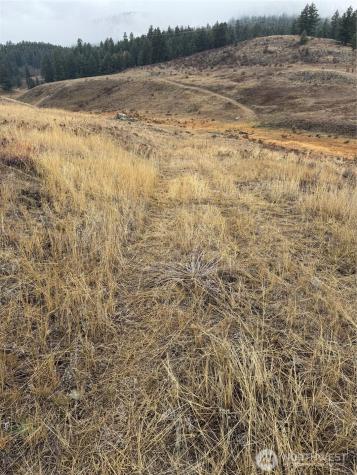 0 Lot 39 Mountain View Oroville WA 98844