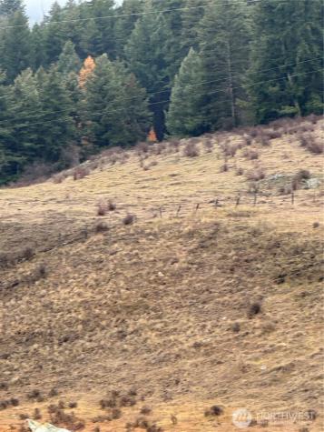 0 Lot 39 Mountain View Oroville WA 98844