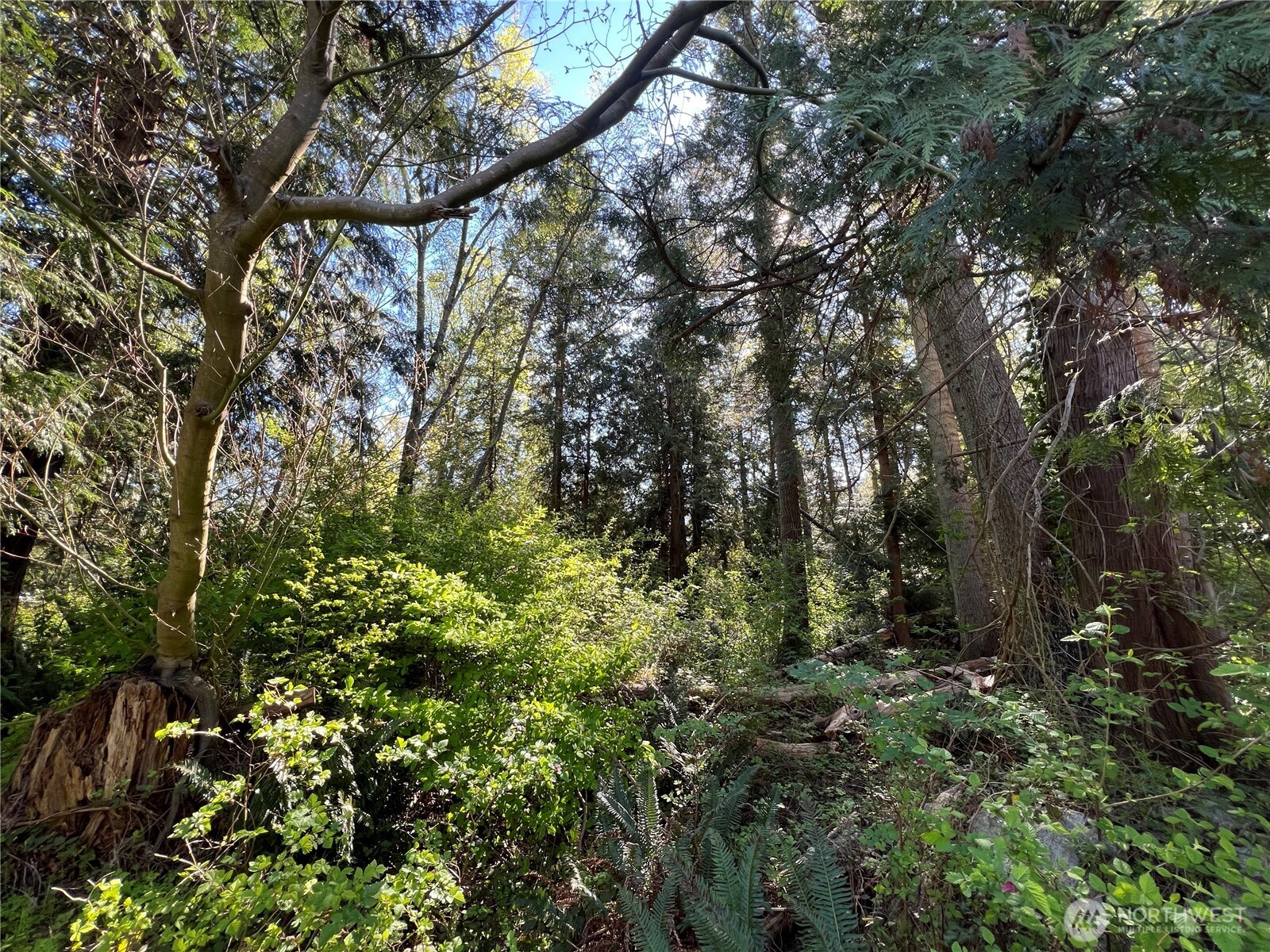 412 High Bluff Drive Point Roberts WA 98281