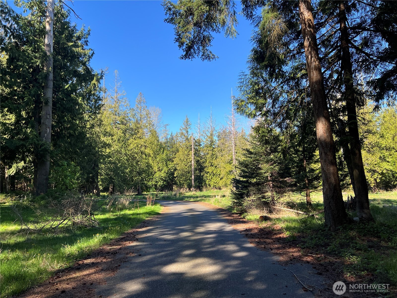 412 High Bluff Drive Point Roberts WA 98281