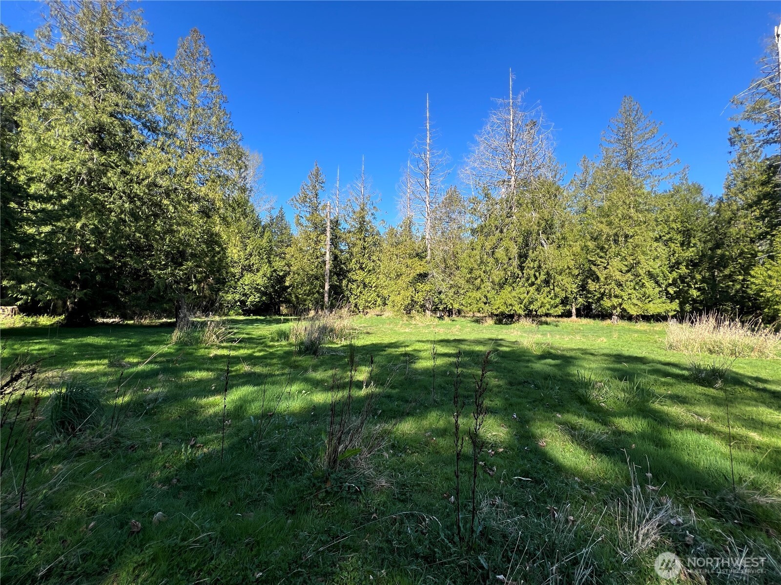 412 High Bluff Drive Point Roberts WA 98281