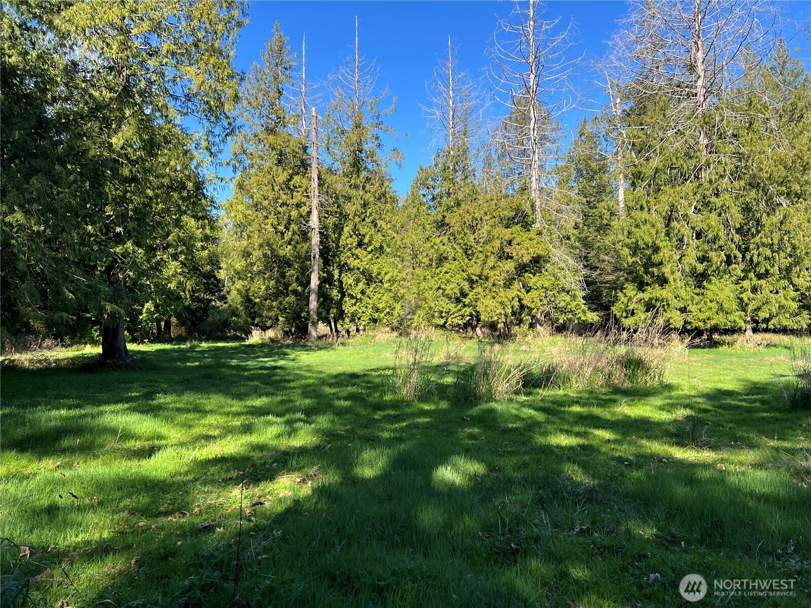 412 High Bluff Drive Point Roberts WA 98281