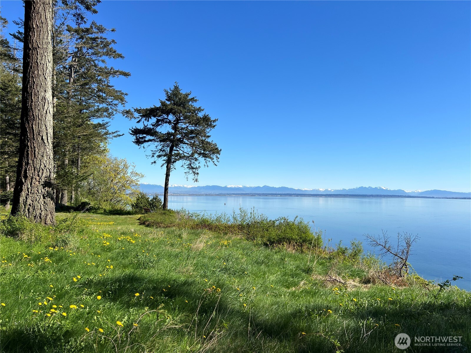 412 High Bluff Drive Point Roberts WA 98281