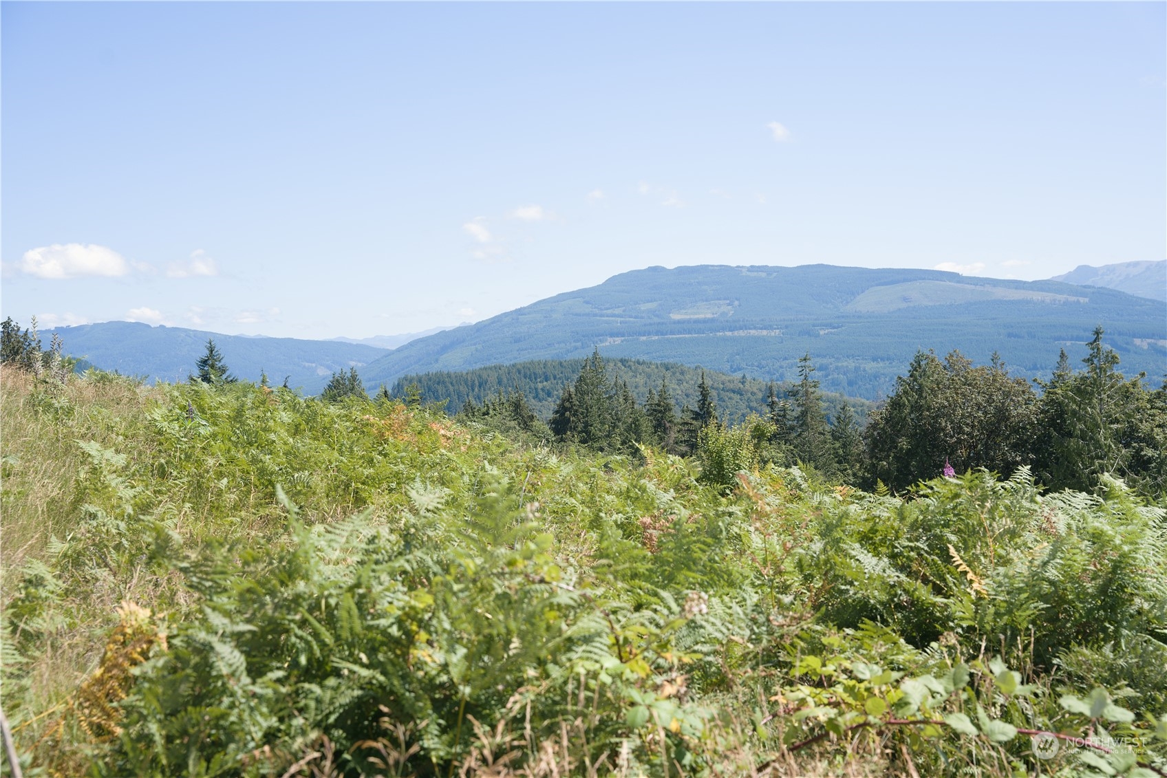 3291 Blanchard Knob Trail Bow WA 98232