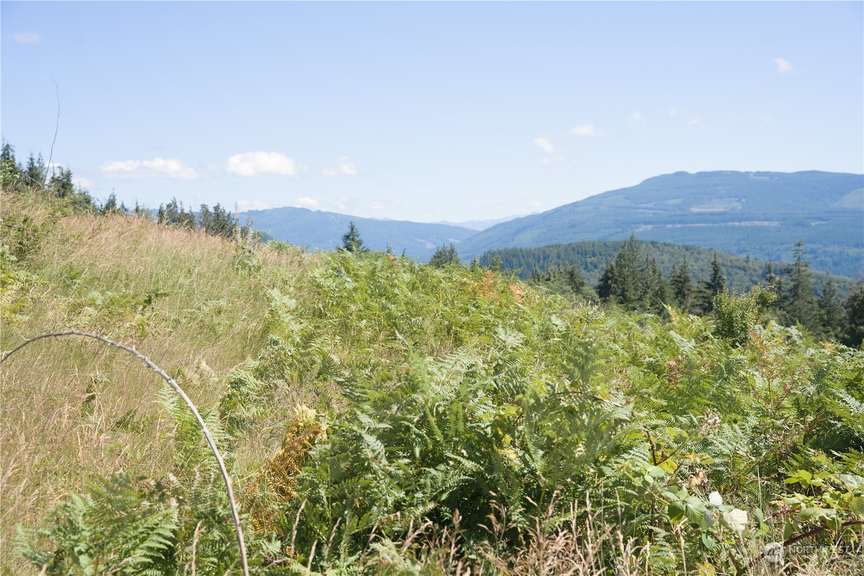 3291 Blanchard Knob Trail Bow WA 98232