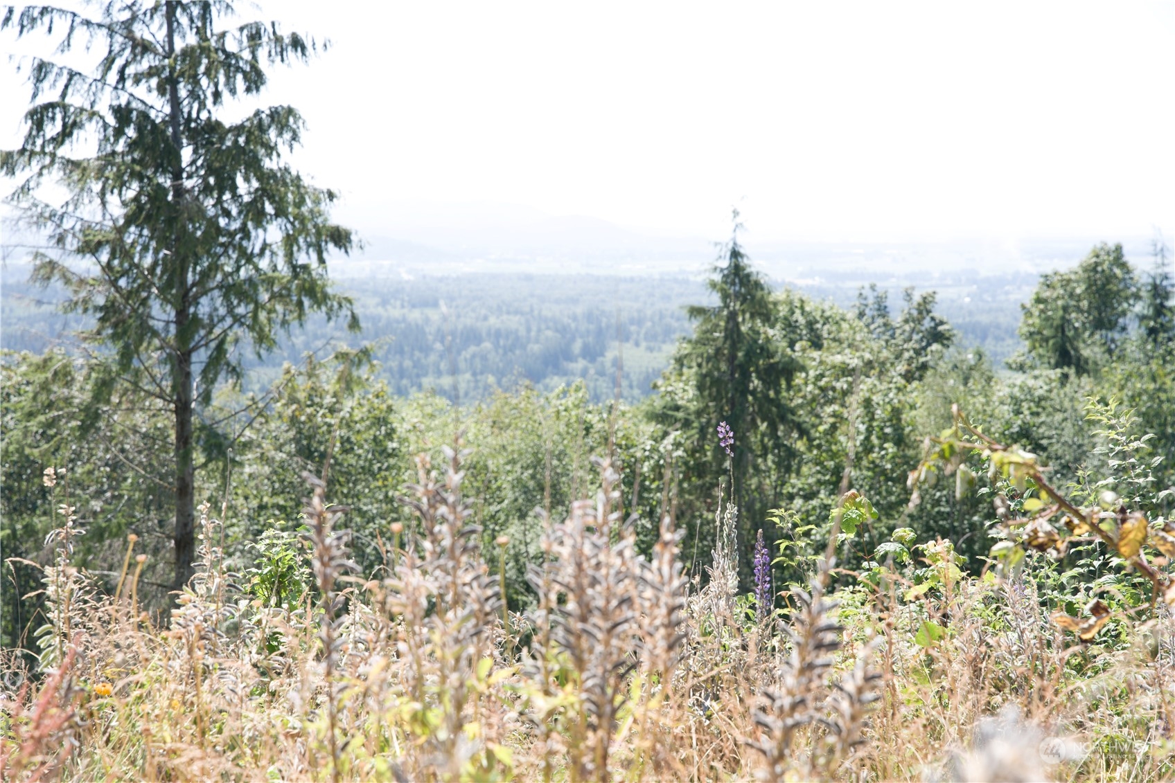 3291 Blanchard Knob Trail Bow WA 98232
