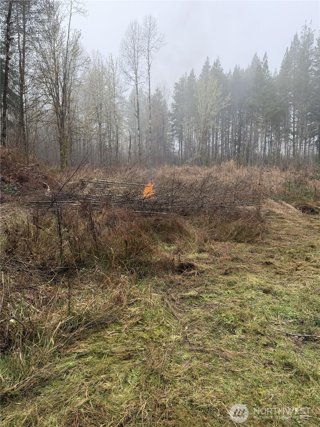 310 Oyler Road Ethel WA 98542