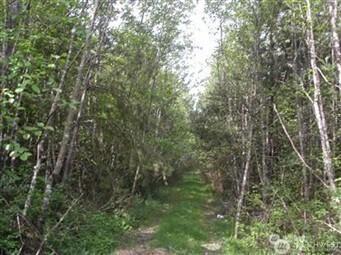 310 Oyler Road Ethel WA 98542