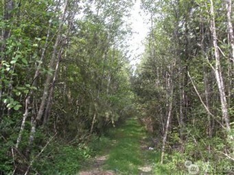 310 Oyler Road Ethel WA 98542