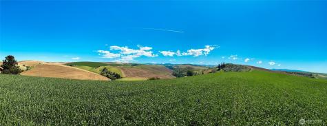 0 Biscuit Ridge Road Dixie WA 99329