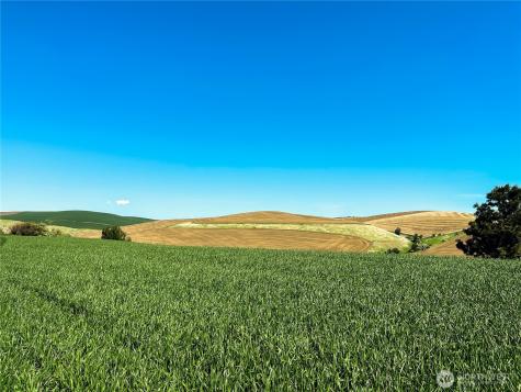 0 Biscuit Ridge Road Dixie WA 99329
