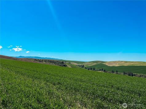 0 Biscuit Ridge Road Dixie WA 99329