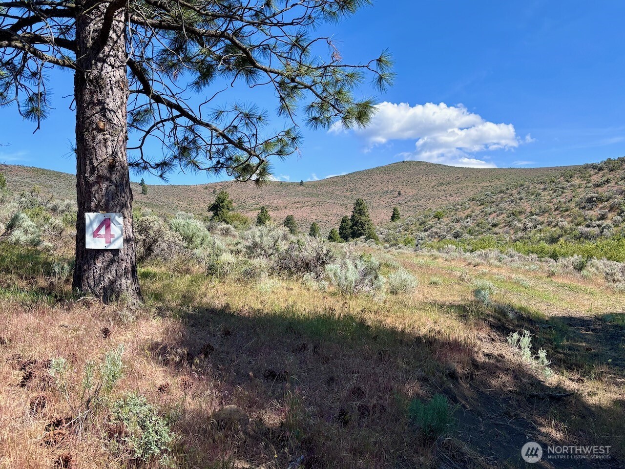 4 Secret Canyon Road Ellensburg WA 98926
