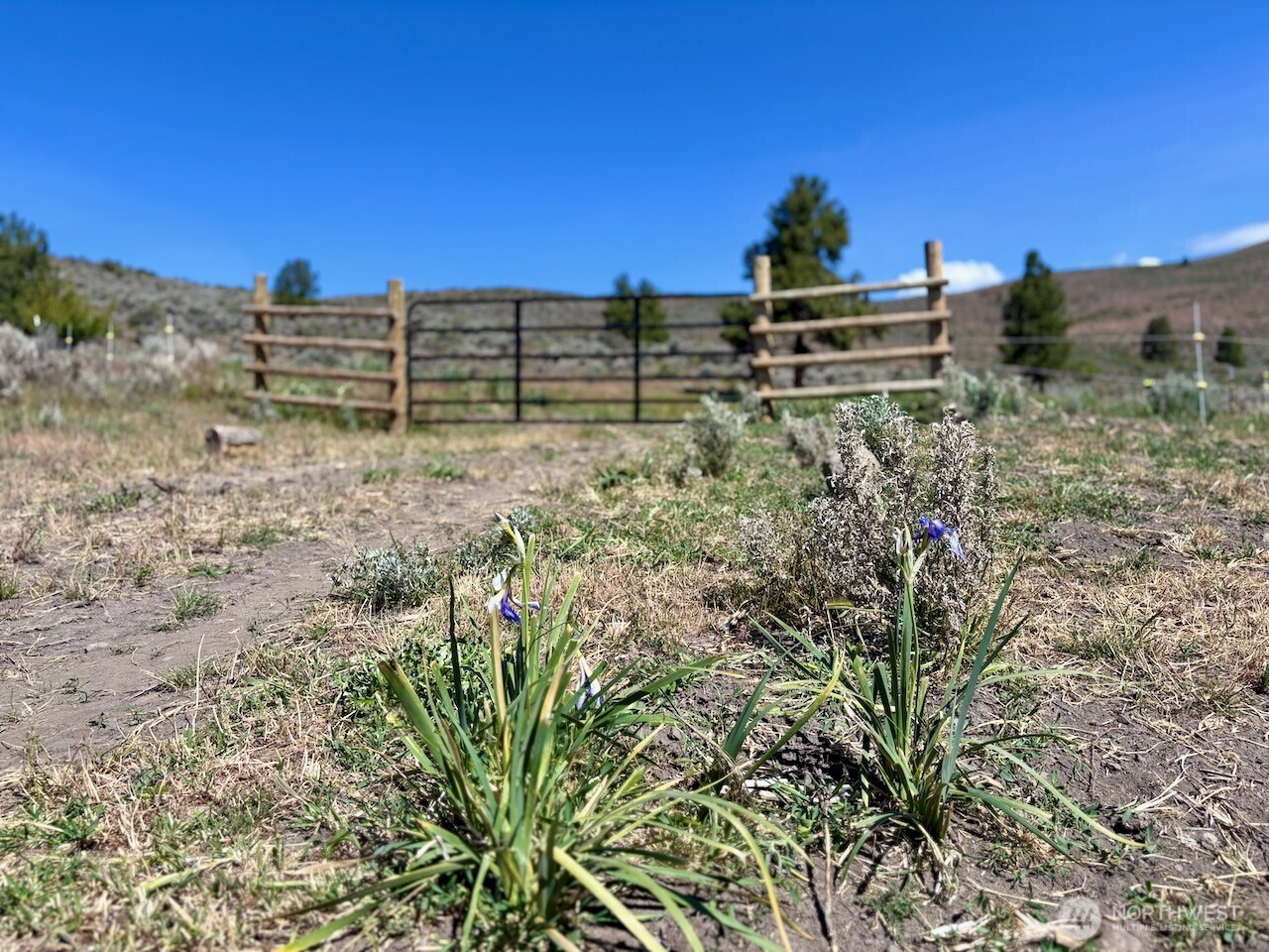 4 Secret Canyon Road Ellensburg WA 98926