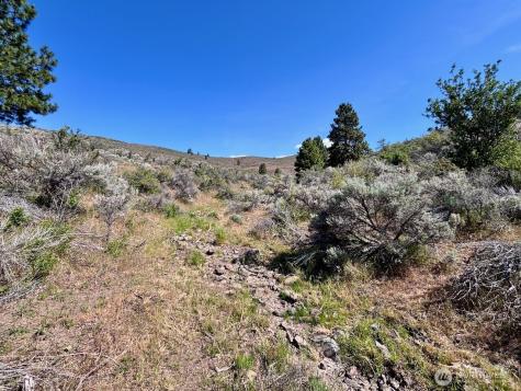 4 Secret Canyon Road Ellensburg WA 98926