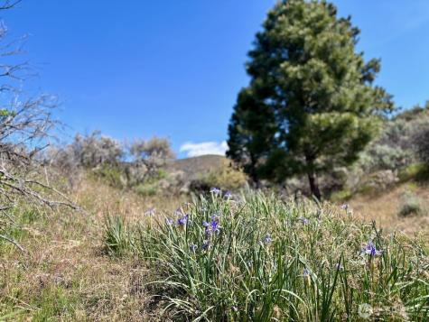4 Secret Canyon Road Ellensburg WA 98926
