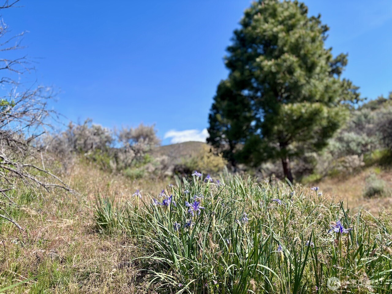 4 Secret Canyon Road Ellensburg WA 98926