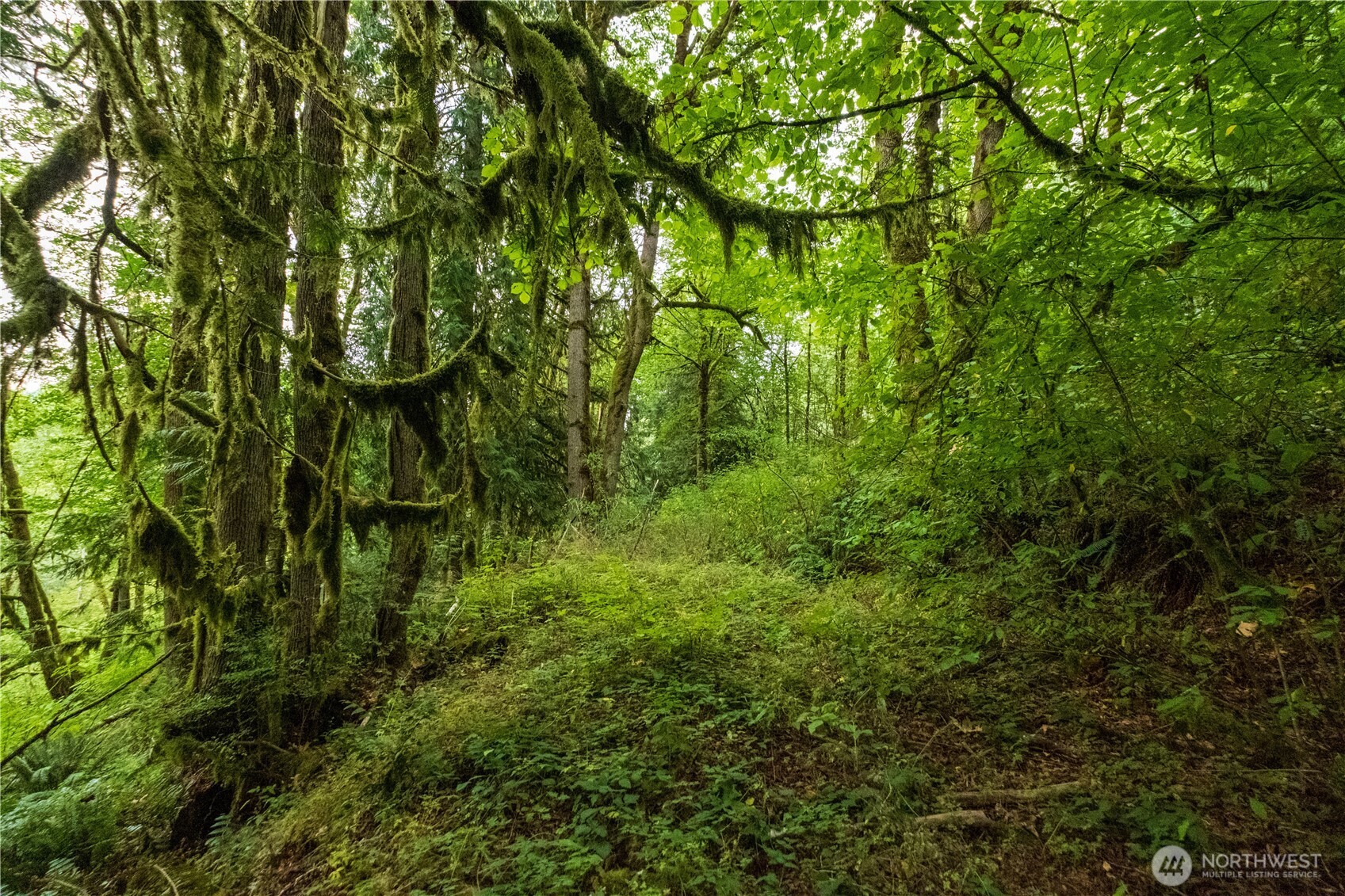 245 SE 146th Street Issaquah WA 98027