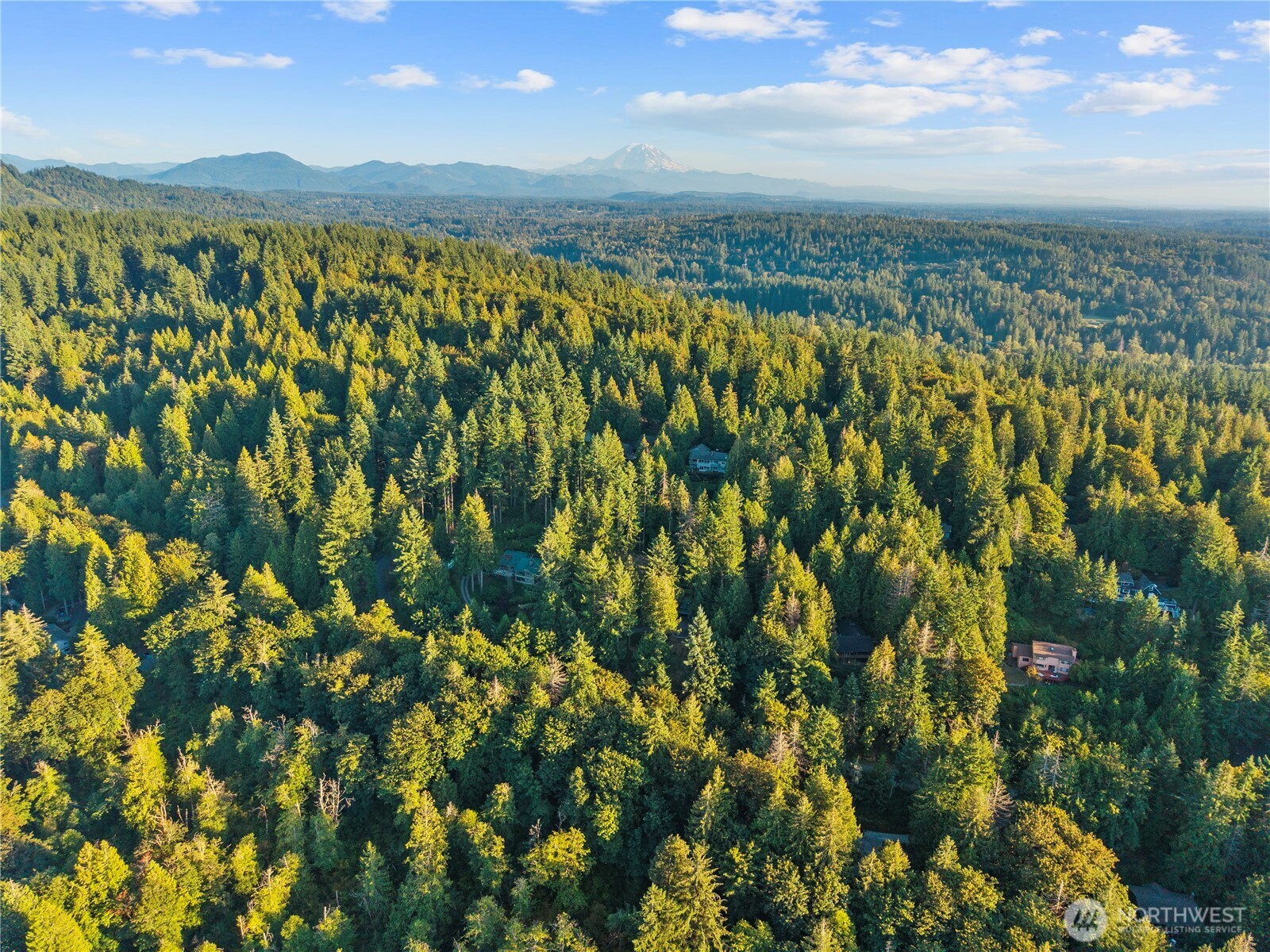 245 SE 146th Street Issaquah WA 98027